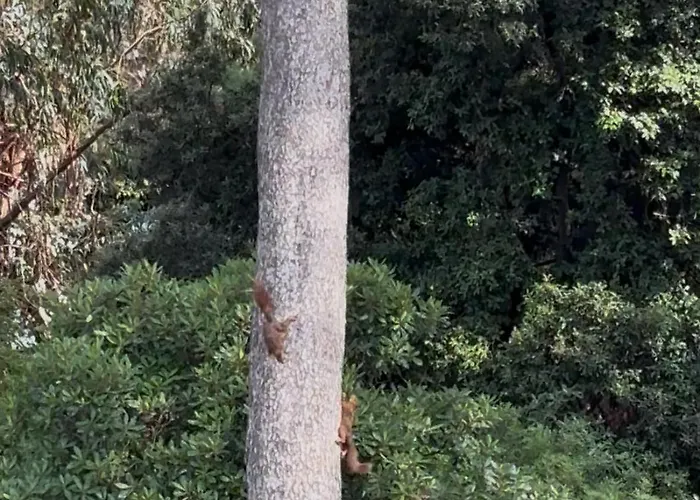 Apartamento Lou Souleou