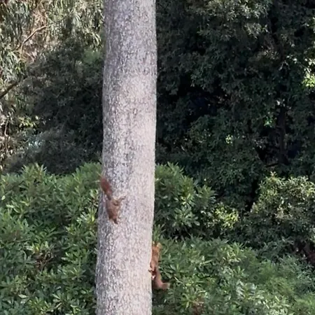 Lejlighed Lou Souleou